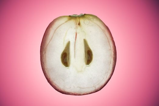 Closeup of slice of red grape fruit on pink gradient background.