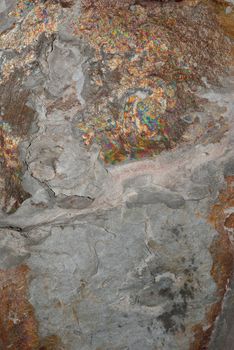 Natural shale rock texture background.