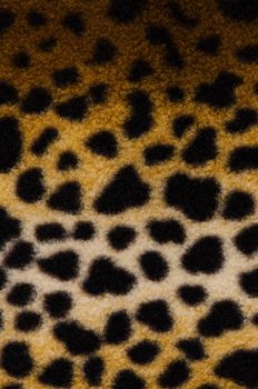 Pattern of a tiger skin wildlife background.