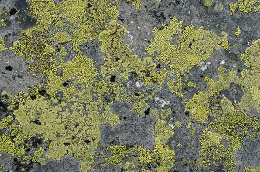 Grunge old stone background