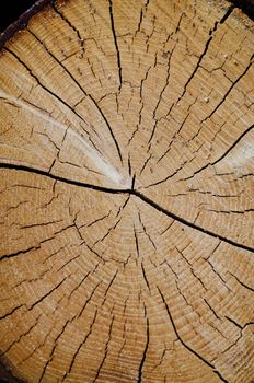 Abstract crack wood spiral style background