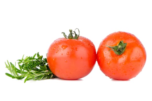 Red tomatoes isolated on white background.