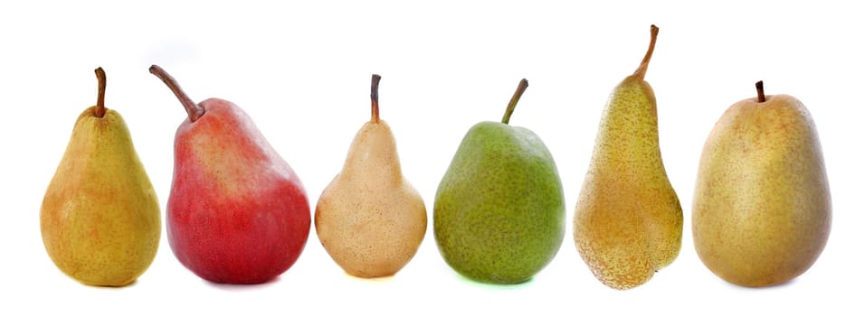 varieties of pears in front of white background