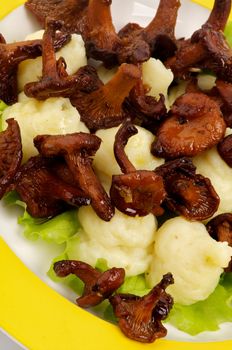 Little Roasted Chanterelles and Mushed Potato with Lettuce on Yellow Plate closeup