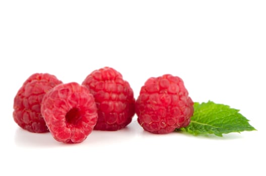 Ripe red raspberry on white background