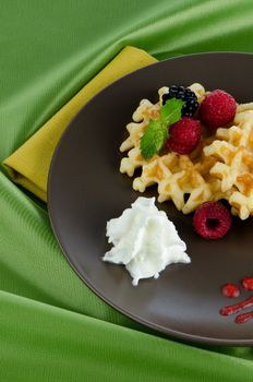 tasty waffle with fruits on a dark plate.