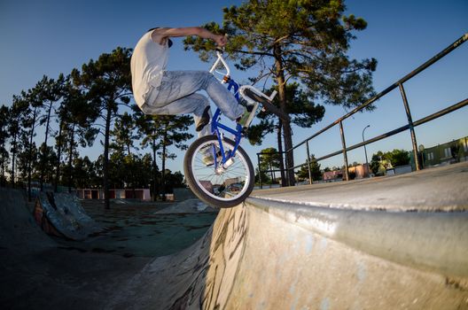 Bmx rider performing a tap at a quarter pipe ramp on a skatepark.