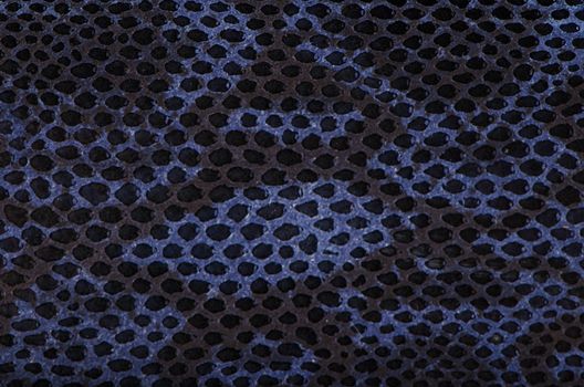 Blue python snake skin texture background.