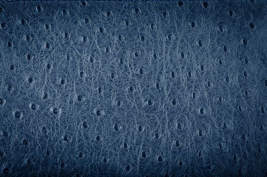 Blue leather texture closeup detailed background.