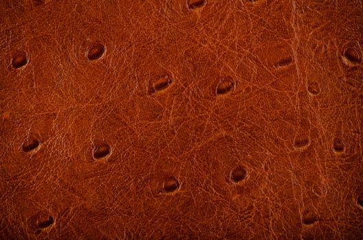 Natural brown leather texture. Close up.