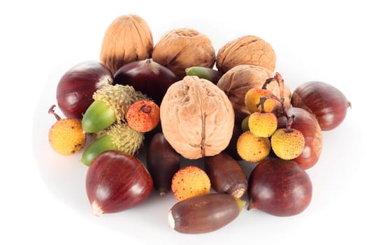 composed autumn fruits madrone walnuts and chestnuts acorns on white background