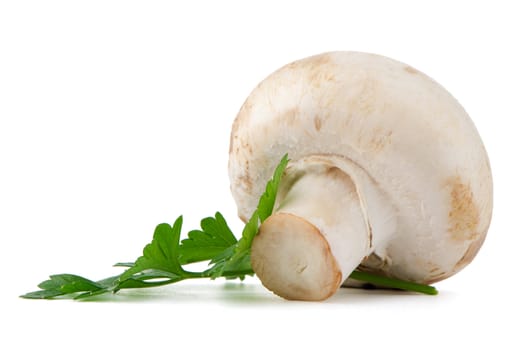 Champignon mushroom and parsley leaves isolated on white background