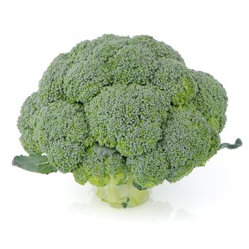 Broccoli isolated on a white background.