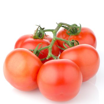 Red ripe tomato vine isolated on white background.