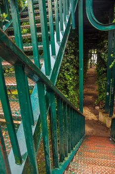 Green stairs leading to a green leafy tunnel