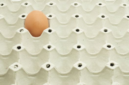 Close up of a single egg in package