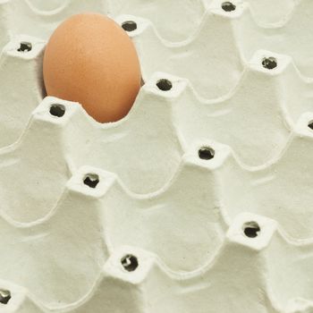 Close up of a single egg in package