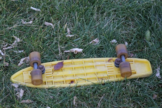 Yellow Skate board in the fall on the grass with leaves