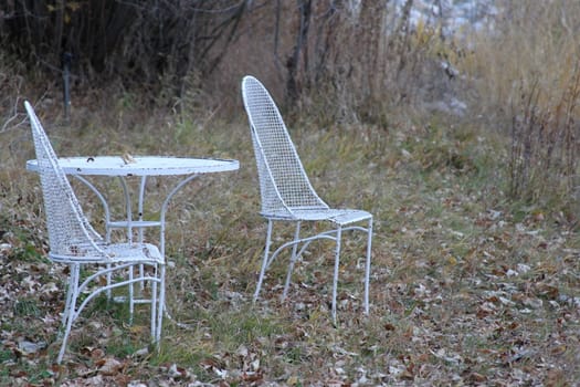 Lawn Furniture in the woods