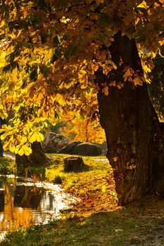 Beautiful colors of autumn landscape by the lake