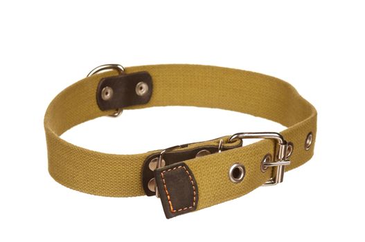 New dog collar isolated on the white background