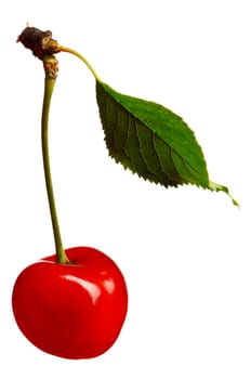 Sweet cherry with leaf isolated on a white background