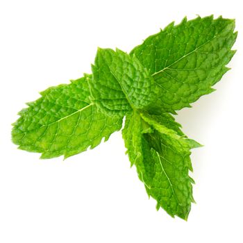 Fresh mint leaves isolated on white background.