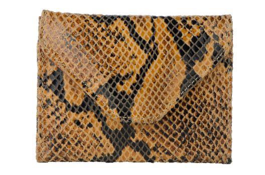 Snake skin leather wallet on white background.
