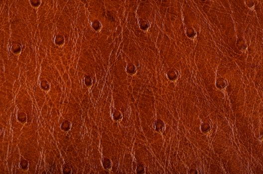 Closeup of leather texture background.