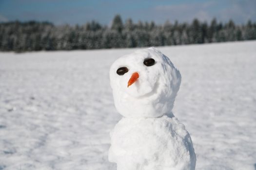 beautiful winter mood.snowman in winter.