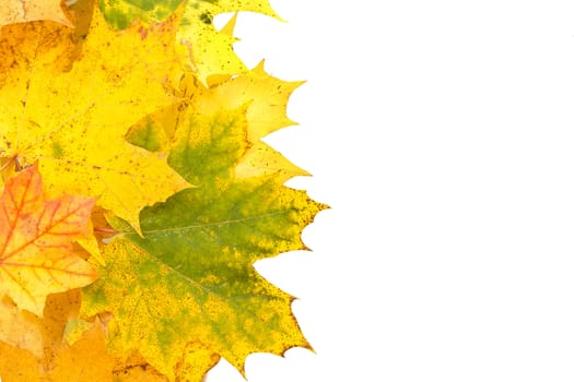 red autumn leaves frame with space for your text