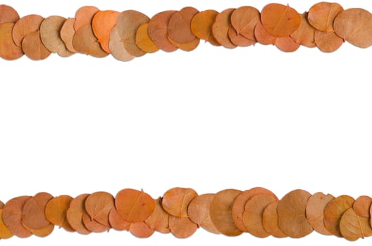 Autumn leaves border on horizontal white background.