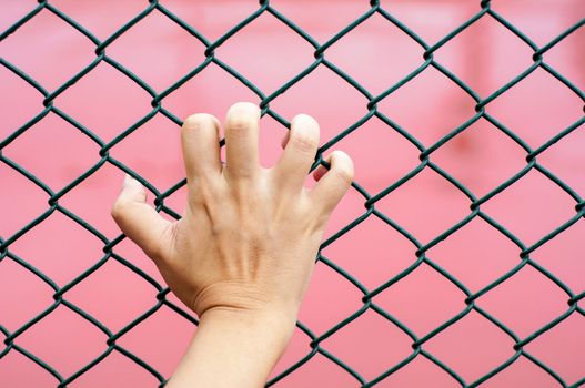 hand holding on chain link fence, red background