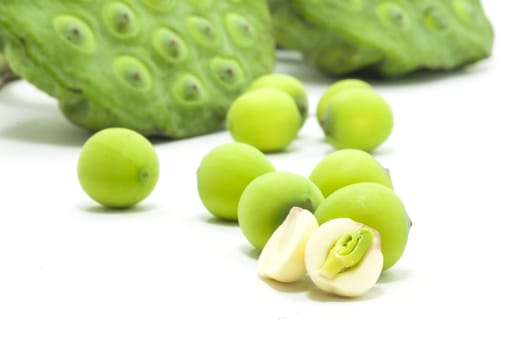  lian zi - The lotus seeds are used extensively in traditional Chinese medicine and desserts.