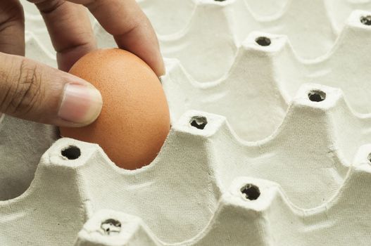 Hand picking an egg in package