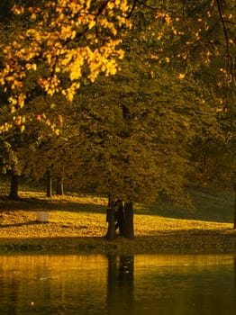 Beautiful colors of autumn landscape by the lake