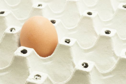 Close up of a single egg in package