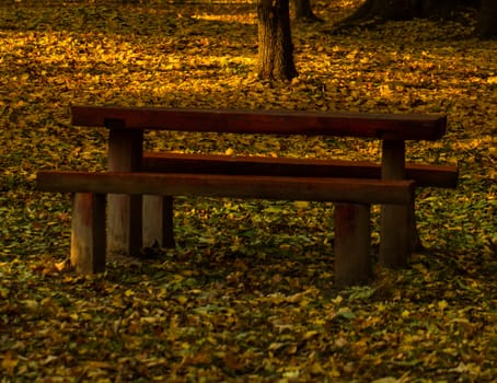 Beautiful colors of autumn landscape with bench