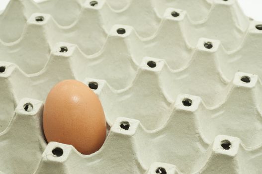 Close up of a single egg in package