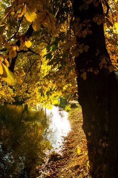 Beautiful colors of autumn landscape by the lake