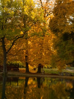 Beautiful colors of autumn landscape by the lake