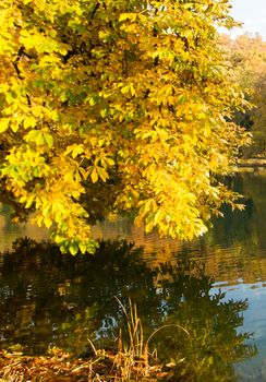 Beautiful colors of autumn landscape by the lake