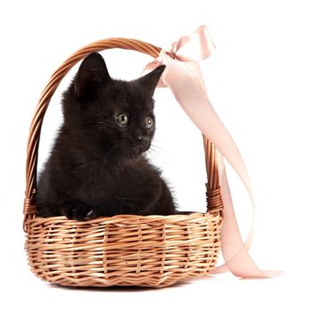 Black kitten in a wattled basket with a ribbon on a white background