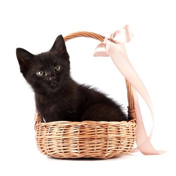 Black kitten in a wattled basket with a ribbon on a white background