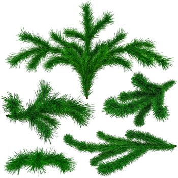 set of Christmas green fir-tree branches on white background