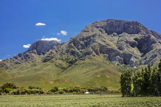 Beautiful landscapes of South Africa with lush green vegetation, beautiful mountains and clear blue sky with scattered fluffy clods