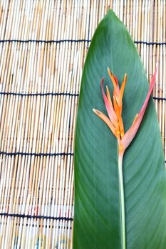 Heliconia flower and its leaf, put on the table cloth made from wooden