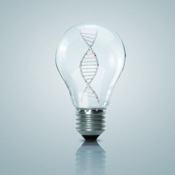 Human DNA strand inside a electric light bulb