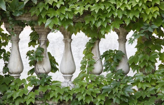 Ornate stone fences overgrown with ivy.