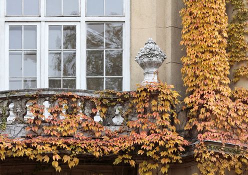 balcony of the historic house and ran up the pole amber autumn.